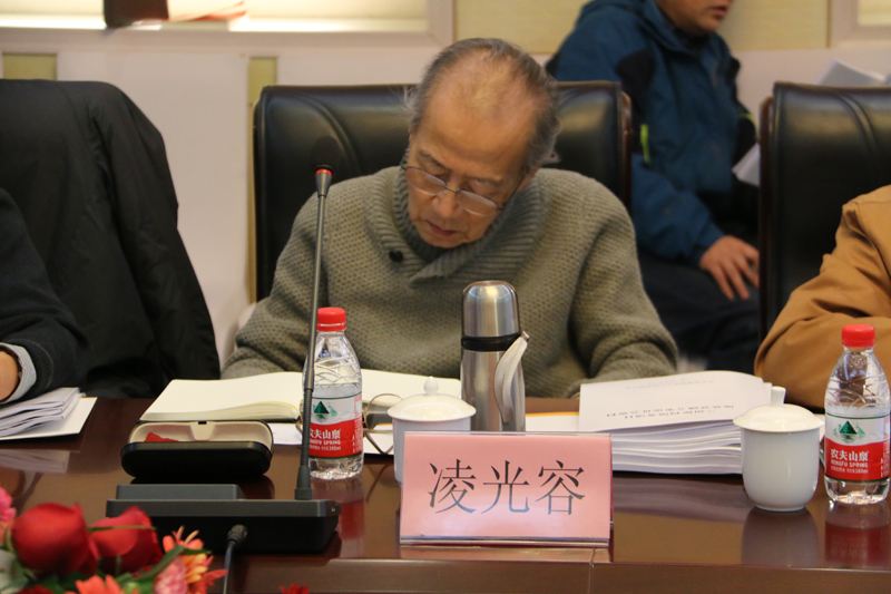 《载体桩设计规程》修订第二次工作会议在京召开